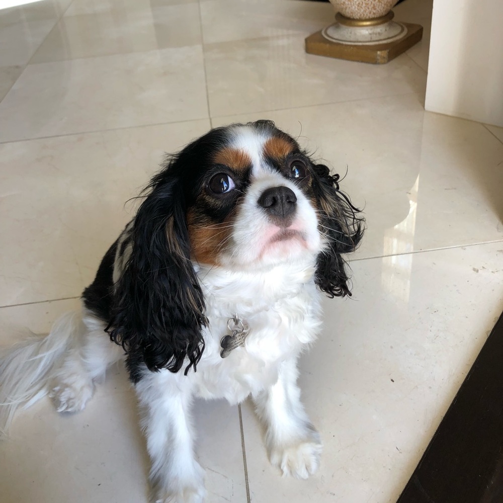 Meet your Posher, Aaron